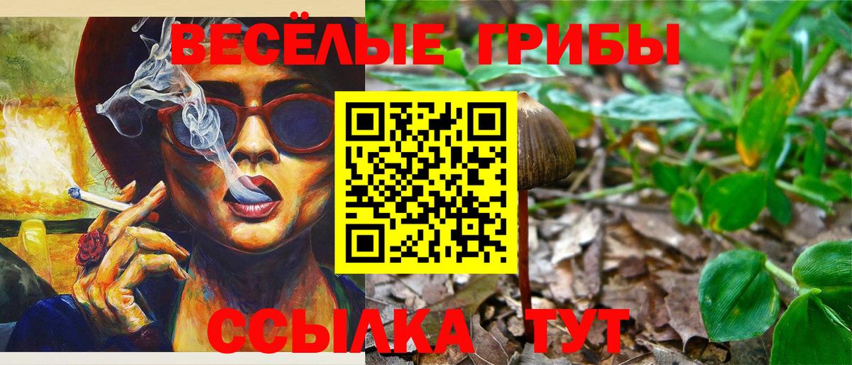 Гулькевичи  Галлюциногенные грибы Psilocybine cubensis  Вход с VPN  купить   Псилоцибиновые грибы мухоморы 